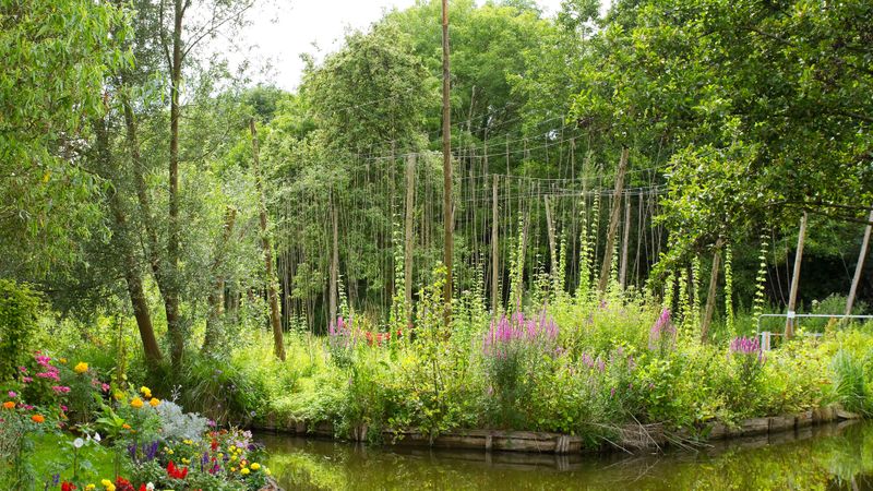 amiens-hortillonnages
