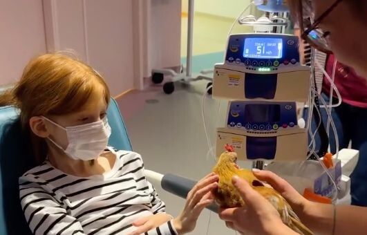 Vidéo. Des animaux pour illuminer le quotidien des enfants hospitalisés