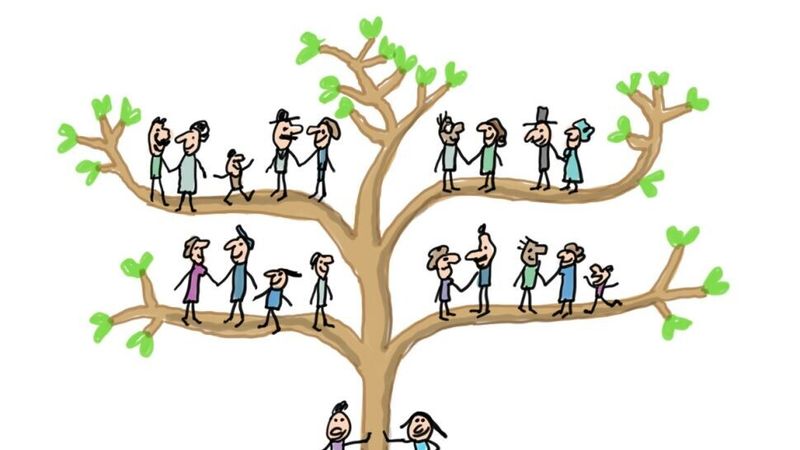 arbre-généalogique