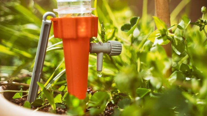 Arrosage goutte-à-goutte : comparatif 2024 des meilleurs systèmes pour un jardin économe en eau