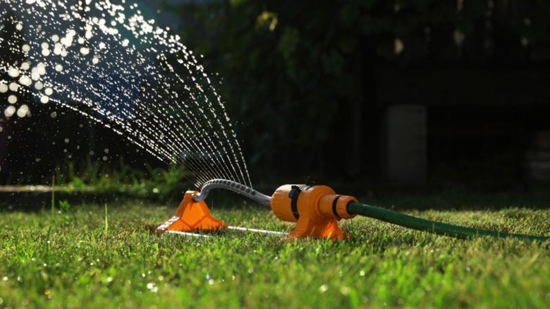 Arroser malin sans se ruiner : des solutions d’arrosage automatique pour tous les budgets