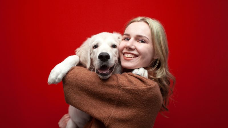 chien dans les bras de sa maitresse