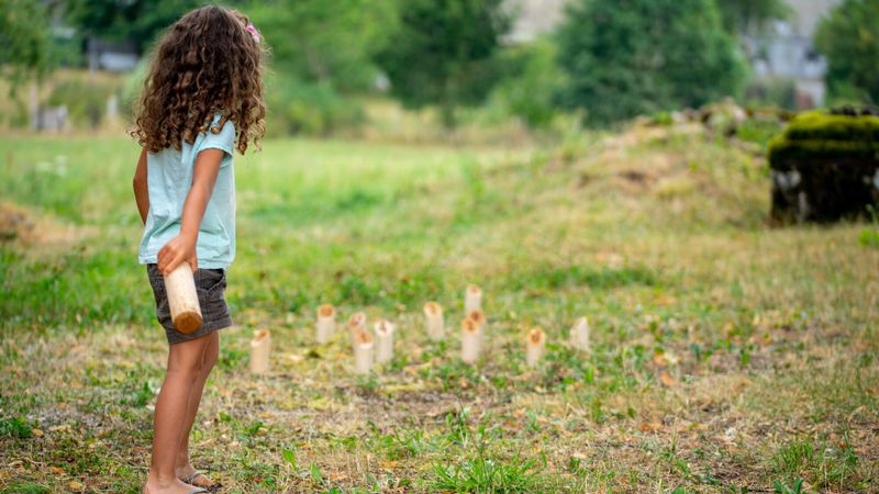 Illustration du Mölkky
