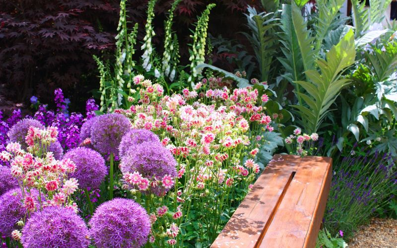 34 légumes, plantes et arbustes qui résistent à la chaleur et à la sécheresse à planter dans votre jardin