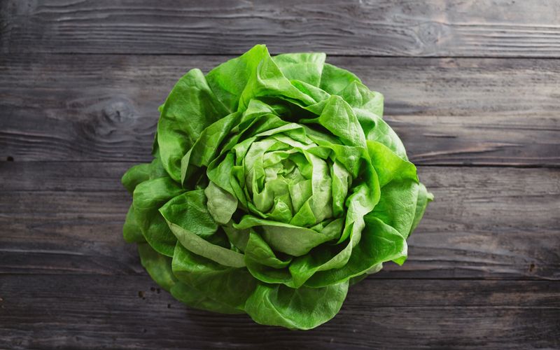 Pourquoi la salade est un régal pour la santé (et la ligne)