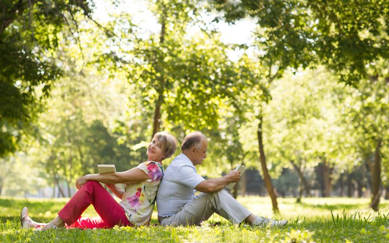 "Les Ailes collées" de Sophie de Baere, prix Maison de la Presse 2022