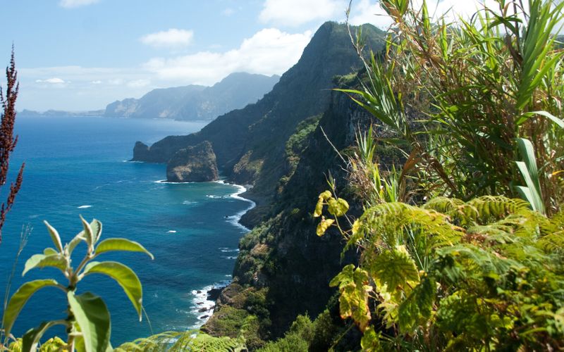 Madère, le jardin de l'Atlantique