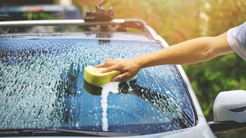 moustique pare brise