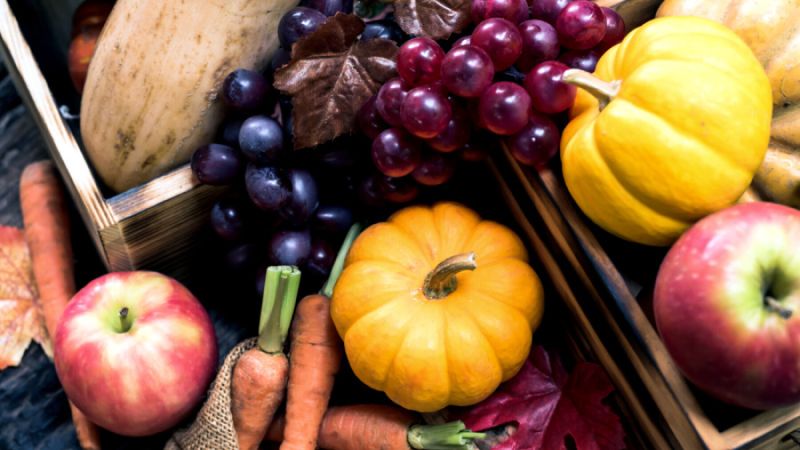 Puzzles : plongez au coeur de l'automne !