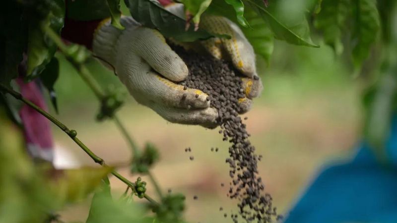 Quels engrais choisir en 2024 ?