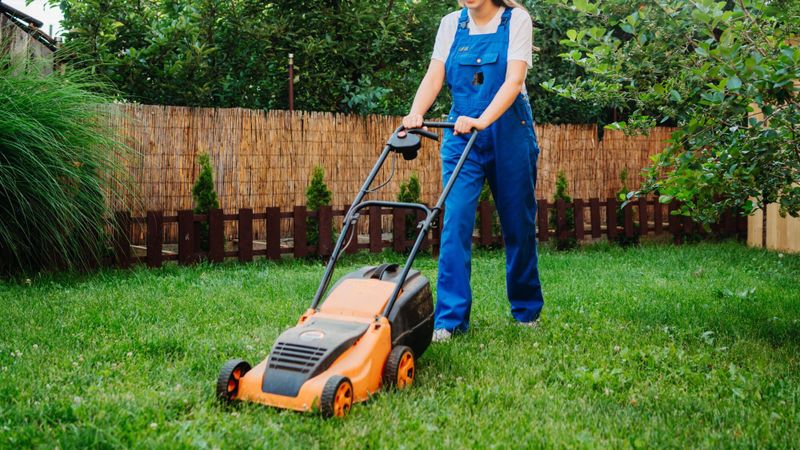 Shutterstock - Notre Temps - Quelle est la meilleure tondeuse à gazon à moins de 200 € _