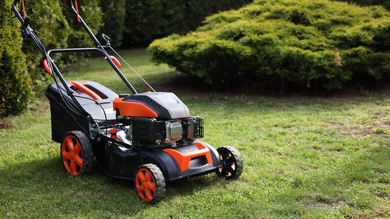 Top 3 des meilleures tondeuses à gazon électriques